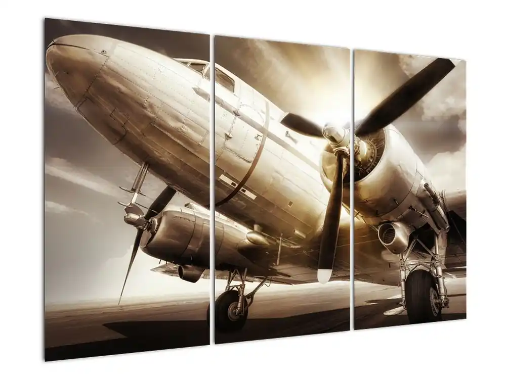 Schilderij - Vliegtuig Ostatnia szansa