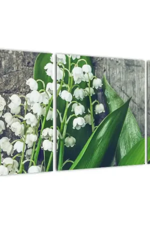 Schilderij - Meiklokjes Ekspresowa dostawa