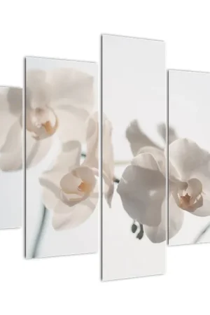 Schilderij - Witte orchidee Kup teraz