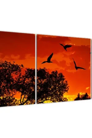 Promocja Schilderij - Vogels bij zonsondergang
