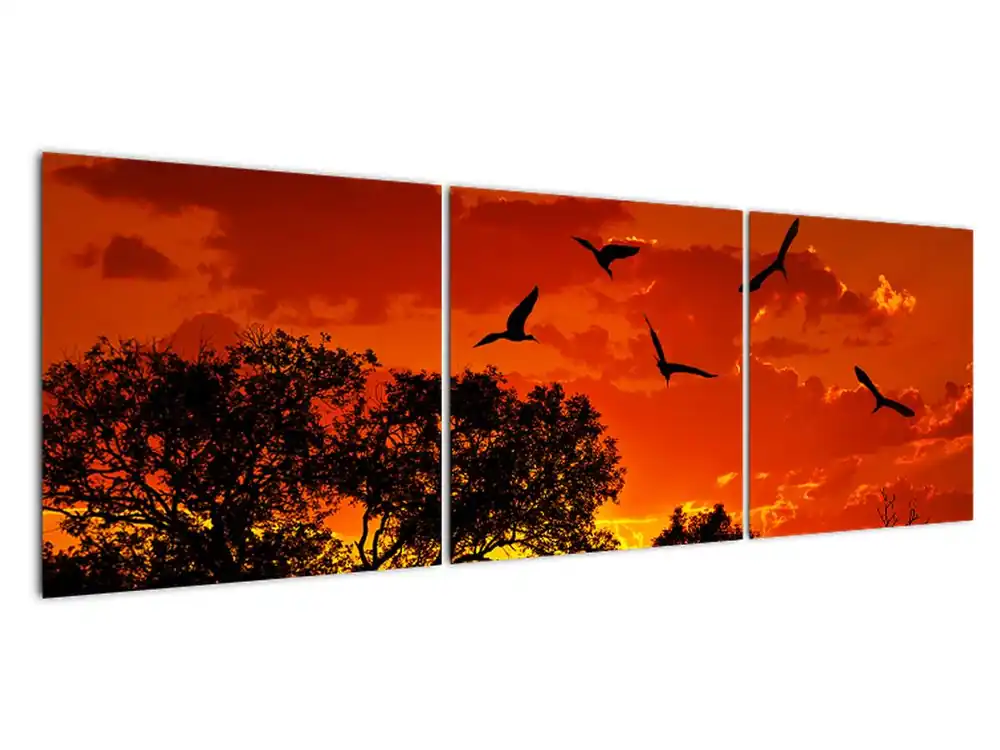 Promocja Schilderij - Vogels bij zonsondergang