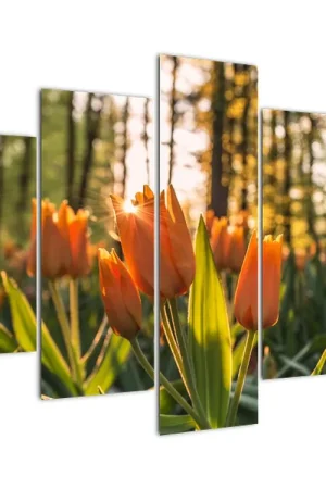 Schilderij - Tulpenbloesems Oferta limitowana