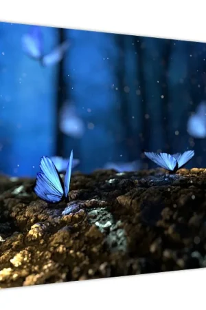 Kup teraz Schilderij - Blauwe vlinders