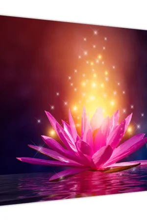 Schilderij - Waterlelie op het water Premium