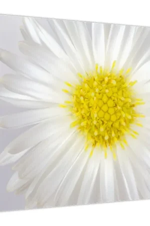 Schilderij - Margarita Oferta limitowana