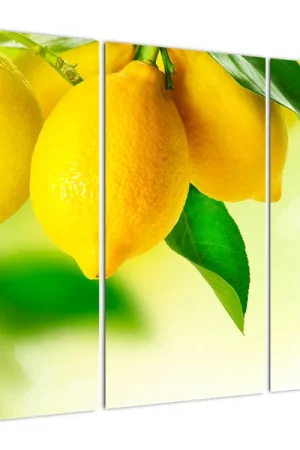 Schilderij - Citroenen Promocja