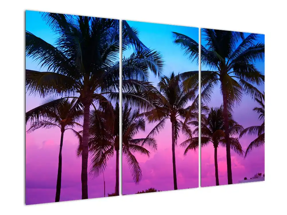 Schilderij - Palmbomen in Miami Wysoka jakość