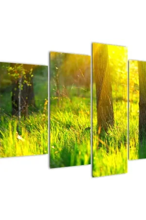 Kup teraz Schilderij - Ontwakend lentebos