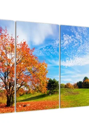 Ekspresowa dostawa Schilderij - Herfstlandschap