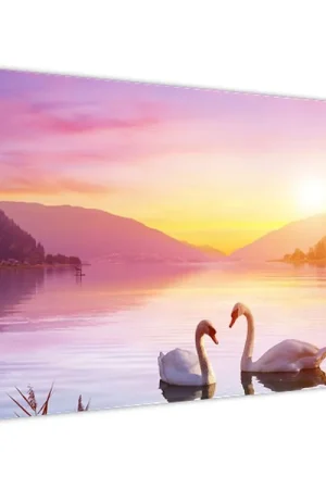 Wysoka jakość Schilderij - Verliefde zwanen