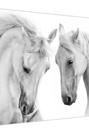 Wysoka jakość Schilderij - Witte paarden