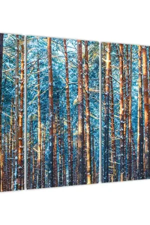 Oryginalny Schilderij - Winterbos