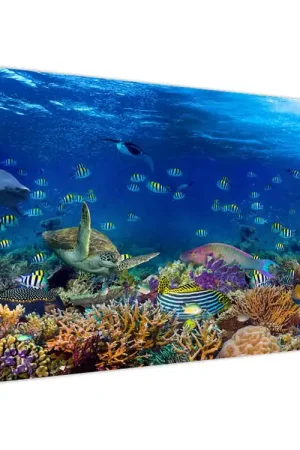 Kup teraz Schilderij - Oceaan