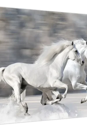 Oferta limitowana Schilderij - Witte paarden in de winter