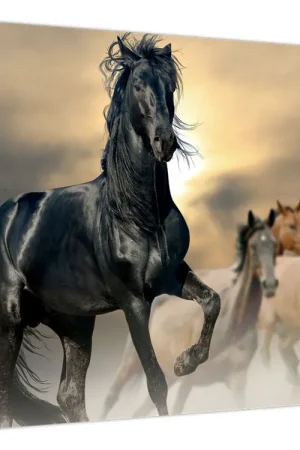 Popularny Schilderij - Paarden