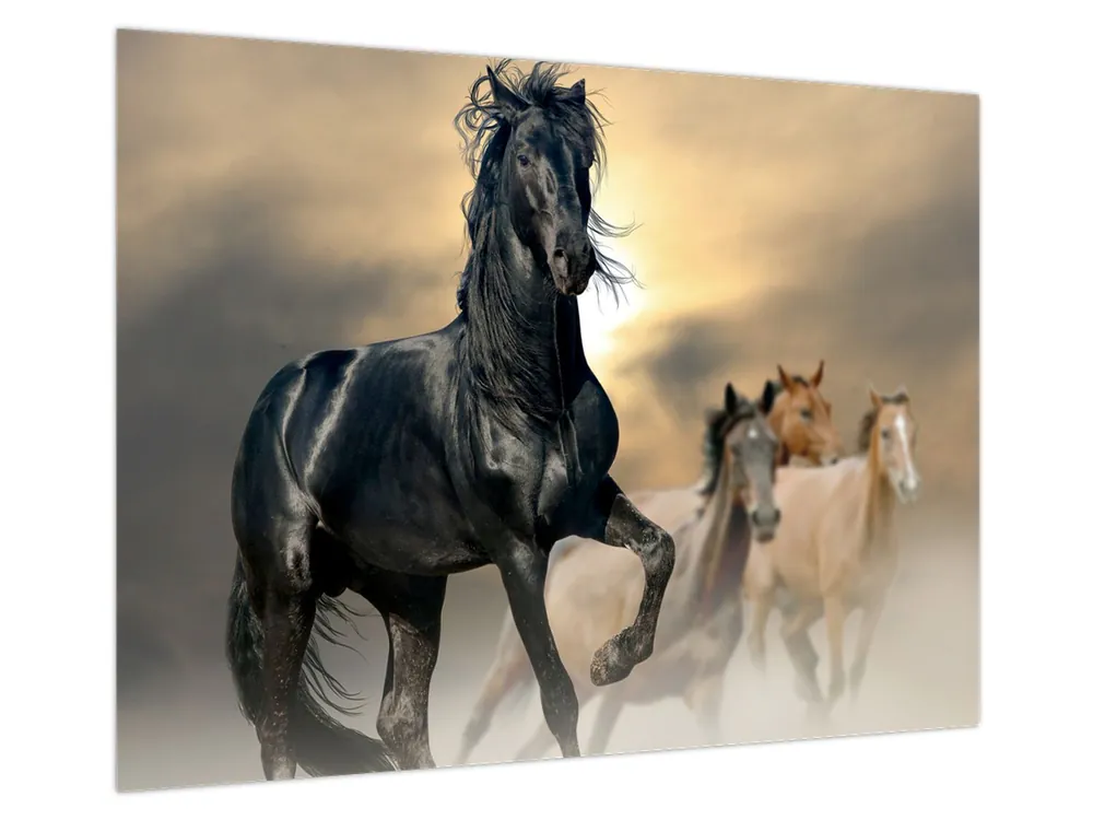 Popularny Schilderij - Paarden