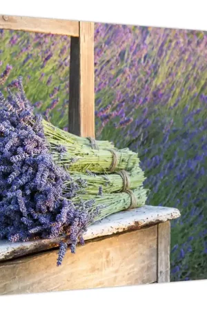 Tylko dziś Schilderij - Trossen lavendel