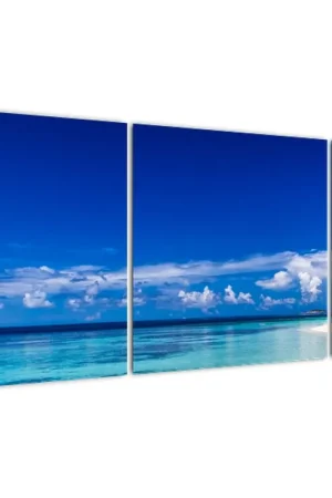 Tani Schilderij - Tropisch strand