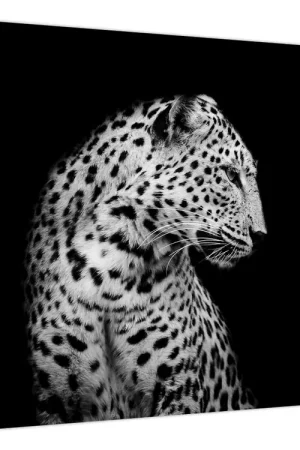 Schilderij - Luipaard Niska cena