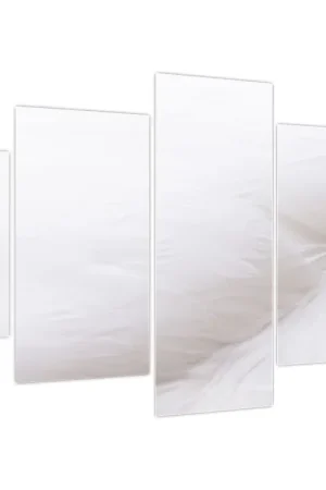 Schilderij - Witte veer Tylko dziś