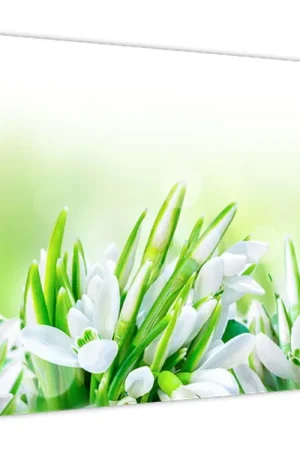 Schilderij - Sneeuwklokjes Darmowa dostawa