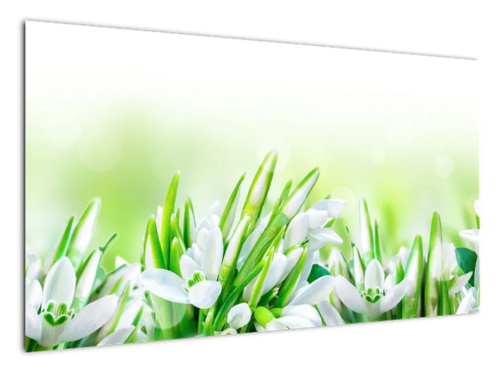 Schilderij - Sneeuwklokjes Darmowa dostawa