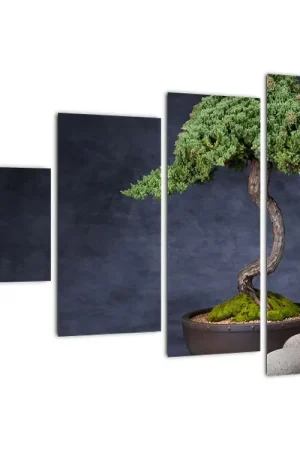 Wysoka jakość Schilderij - Bonsai