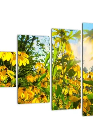 Schilderij - Gele bloemen Rabat