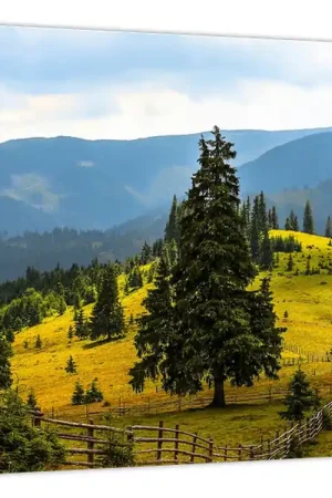 Schilderij - Bergweiland Wyprzedaż