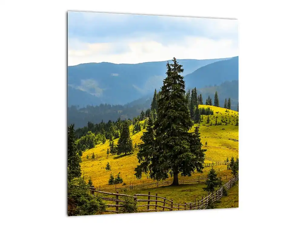 Schilderij - Bergweiland Wyprzedaż