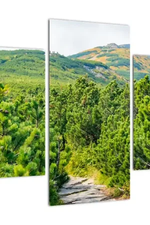 Schilderij - Babi Hora, Polen Niska cena