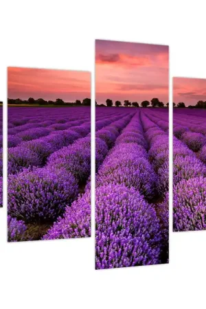Rabat Schilderij - Lavendelveld