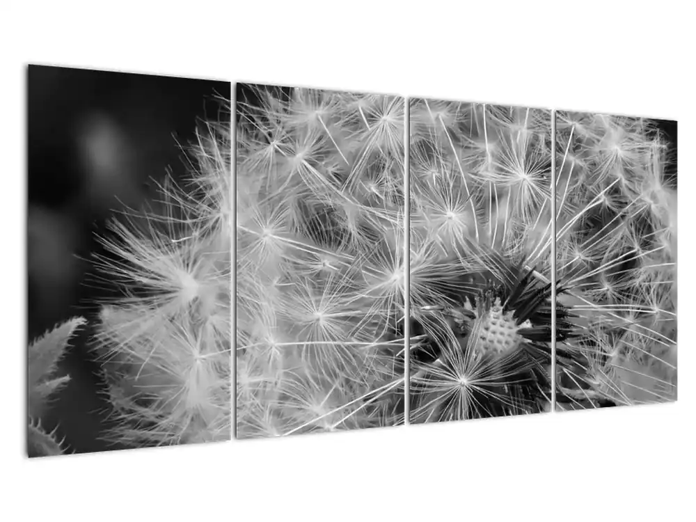 Schilderij - Paardebloem pluis Darmowa dostawa