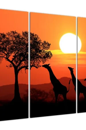 Schilderij - Giraffen bij zonsondergang Popularny