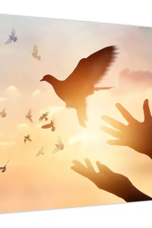 Niska cena Schilderij - Vlieg, duifje!