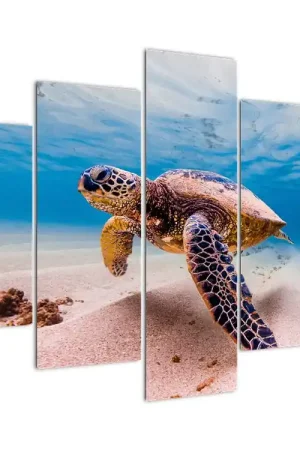 Schilderij - Schildpad in de oceaan Premium