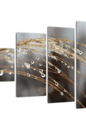 Ostatnia szansa Schilderij - Druppels op een plant