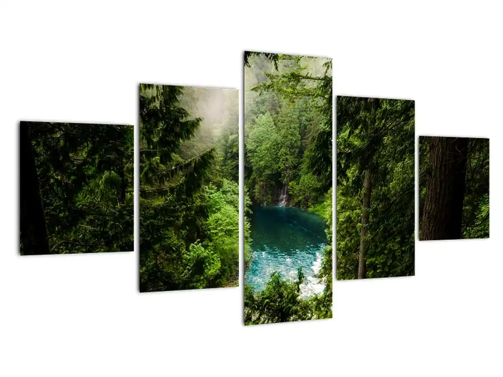 Wyprzedaż Schilderij - Doorkijkje tussen de bomen