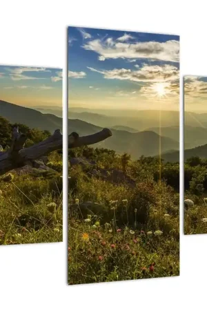 Nowość Schilderij - Uitzicht op de omgeving