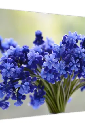 Schilderij - Bos van blauwe bloemen Wysoka jakość