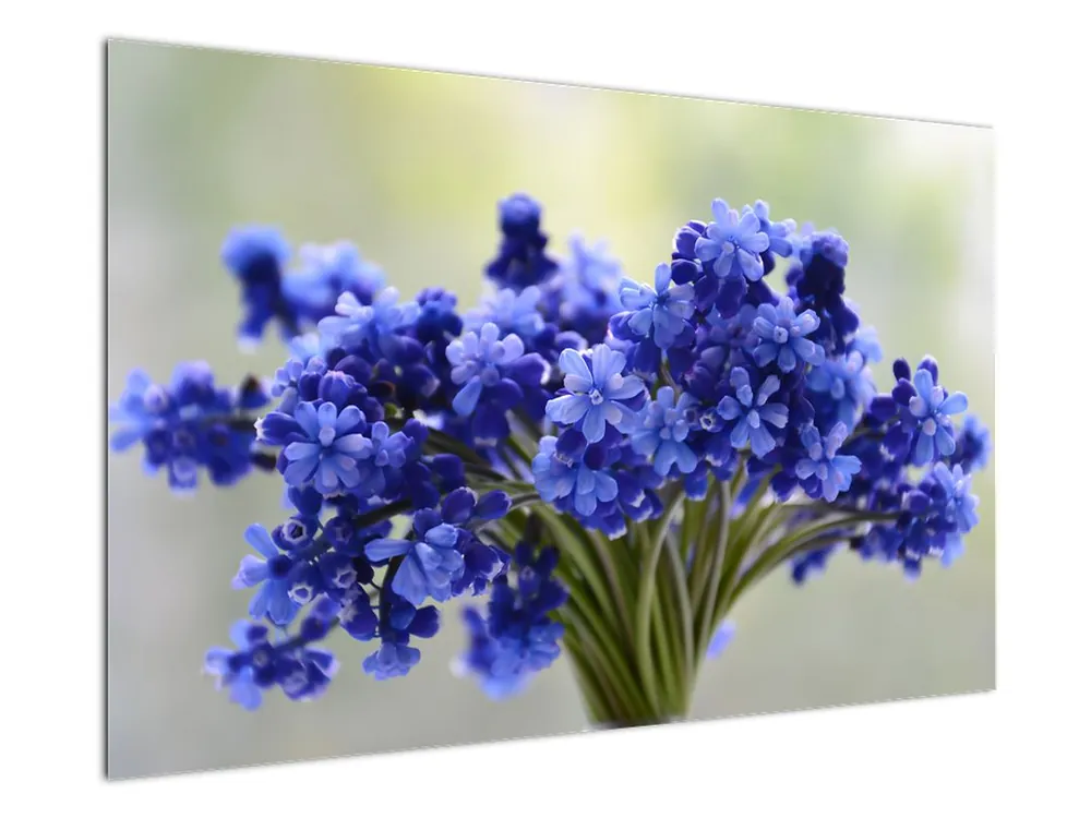 Schilderij - Bos van blauwe bloemen Wysoka jakość