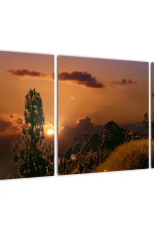 Schilderij - Natuur bij zonsondergang Popularny