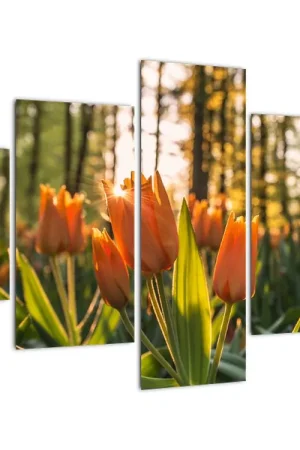 Nowość Schilderij - Oranje tulpen
