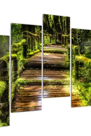 Autentyczny Schilderij - Trap in regenwoud