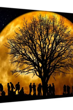 Schilderij - Maan en silhouetten Najlepsza cena