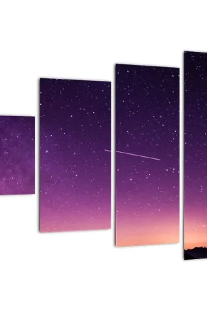 Darmowa dostawa Schilderij - Hemel met vallende ster