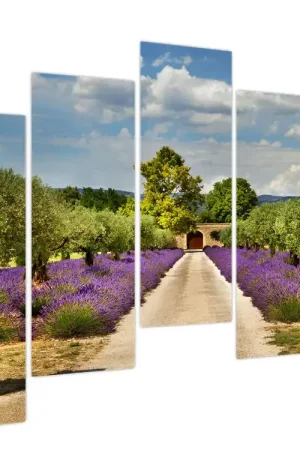 Schilderij - Lavendelpaden Niska cena