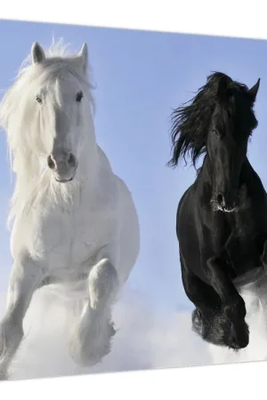 Ostatnia szansa Schilderij - Paarden in de winter
