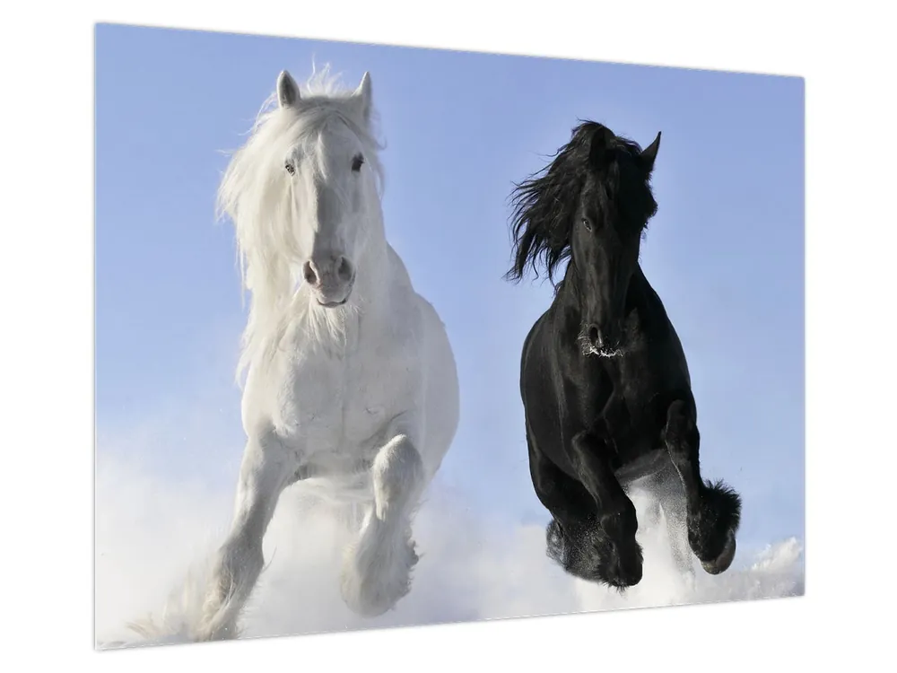 Ostatnia szansa Schilderij - Paarden in de winter