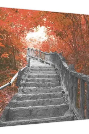 Autentyczny Schilderij - Trap in de natuur, oranje